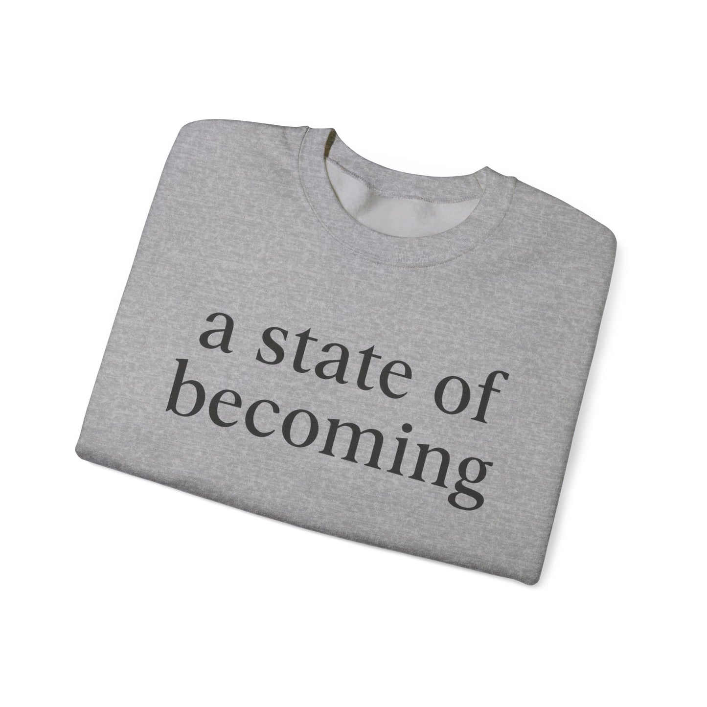 1.1 Grey Sweatshirt